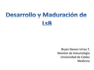 Bryan Steven Urrea T.
Monitor de Inmunología
Universidad de Caldas
Medicina
 