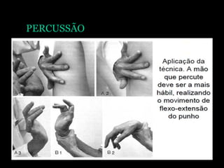 PERCUSSÃO
 
