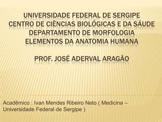 UNIVERSIDADE FEDERAL DE SERGIPE
  CENTRO DE CIÊNCIAS BIOLÓGICAS E DA SÁUDE
       DEPARTAMENTO DE MORFOLOGIA
      ELEMENTOS DA ANATOMIA HUMANA

            PROF. JOSÉ ADERVAL ARAGÃO




Acadêmico : Ivan Mendes Ribeiro Neto ( Medicina –
Universidade Federal de Sergipe )
 