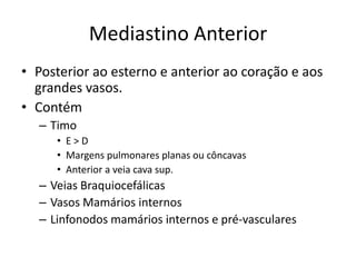 Mediastino Anterior
• Posterior ao esterno e anterior ao coração e aos
  grandes vasos.
• Contém
  – Timo
     • E>D
     • Margens pulmonares planas ou côncavas
     • Anterior a veia cava sup.
  – Veias Braquiocefálicas
  – Vasos Mamários internos
  – Linfonodos mamários internos e pré-vasculares
 