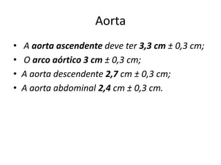 Aorta
•   A aorta ascendente deve ter 3,3 cm ± 0,3 cm;
•   O arco aórtico 3 cm ± 0,3 cm;
•   A aorta descendente 2,7 cm ± 0,3 cm;
•   A aorta abdominal 2,4 cm ± 0,3 cm.
 