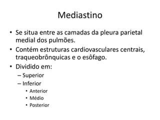 Mediastino
• Se situa entre as camadas da pleura parietal
  medial dos pulmões.
• Contém estruturas cardiovasculares centrais,
  traqueobrônquicas e o esôfago.
• Dividido em:
  – Superior
  – Inferior
     • Anterior
     • Médio
     • Posterior
 