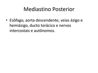 Mediastino Posterior
• Esôfago, aorta descendente, veias ázigo e
  hemiázigo, ducto torácico e nervos
  intercostais e autônomos.
 