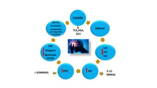 Lesión
Edema
LCR
FSC
VSC
PIC
PPC
FSC
Oxigeno
Nutrición
tisular
Hipoxia,
herniación,
compresión
y/o isquemia
cerebral
TCE,HSA,
ECV
5-15.
MMHG
> 65MMHG
 