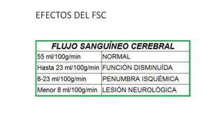 EFECTOS DEL FSC
 