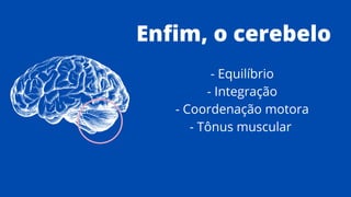 Enfim, o cerebelo
- Equilíbrio
- Integração
- Coordenação motora
- Tônus muscular
 