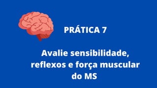 PRÁTICA 7
Avalie sensibilidade,
reflexos e força muscular
do MS
 