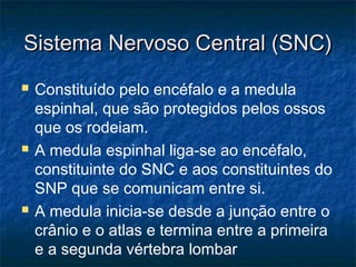 SSiisstteemmaa NNeerrvvoossoo CCeennttrraall ((SSNNCC)) 
 Constituído pelo encéfalo e a medula 
espinhal, que são protegidos pelos ossos 
que os rodeiam. 
 A medula espinhal liga-se ao encéfalo, 
constituinte do SNC e aos constituintes do 
SNP que se comunicam entre si. 
 A medula inicia-se desde a junção entre o 
crânio e o atlas e termina entre a primeira 
e a segunda vértebra lombar 
 