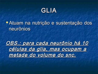 GGLLIIAA 
AAttuuaamm nnaa nnuuttrriiççããoo ee ssuusstteennttaaççããoo ddooss 
nneeuurrôônniiooss 
OOBBSS..:: ppaarraa ccaaddaa nneeuurrôônniioo hháá 1100 
ccéélluullaass ddaa gglliiaa,, mmaass ooccuuppaamm aa 
mmeettaaddee ddoo vvoolluummee ddoo ssnncc.. 
 