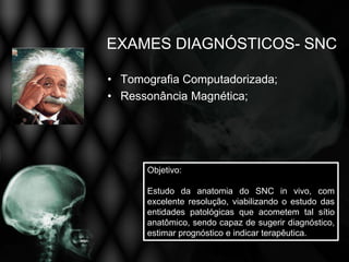 EXAMES DIAGNÓSTICOS- SNC

• Tomografia Computadorizada;
• Ressonância Magnética;




      Objetivo:

      Estudo da anatomia do SNC in vivo, com
      excelente resolução, viabilizando o estudo das
      entidades patológicas que acometem tal sítio
      anatômico, sendo capaz de sugerir diagnóstico,
      estimar prognóstico e indicar terapêutica.
 