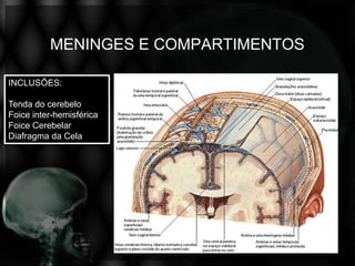 MENINGES E COMPARTIMENTOS

INCLUSÕES:

Tenda do cerebelo
Foice inter-hemisférica
Foice Cerebelar
Diafragma da Cela
 