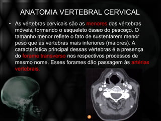 ANATOMIA VERTEBRAL CERVICAL
• As vértebras cervicais são as menores das vértebras
  móveis, formando o esqueleto ósseo do pescoço. O
  tamanho menor reflete o fato de sustentarem menor
  peso que as vértebras mais inferiores (maiores). A
  característica principal dessas vértebras é a presença
  do forame transverso nos respectivos processos de
  mesmo nome. Esses forames dão passagem às artérias
  vertebrais.
 