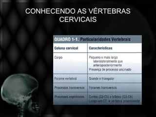 CONHECENDO AS VÉRTEBRAS
       CERVICAIS
 