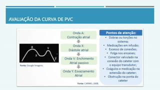 AVALIAÇÃO DA CURVA DE PVC
 