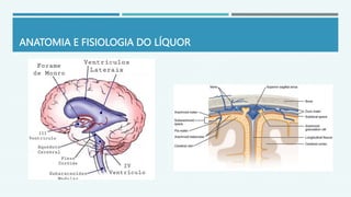 ANATOMIA E FISIOLOGIA DO LÍQUOR
 