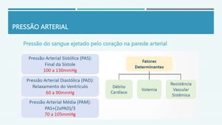 PRESSÃO ARTERIAL
Pressão do sangue ejetado pelo coração na parede arterial
 