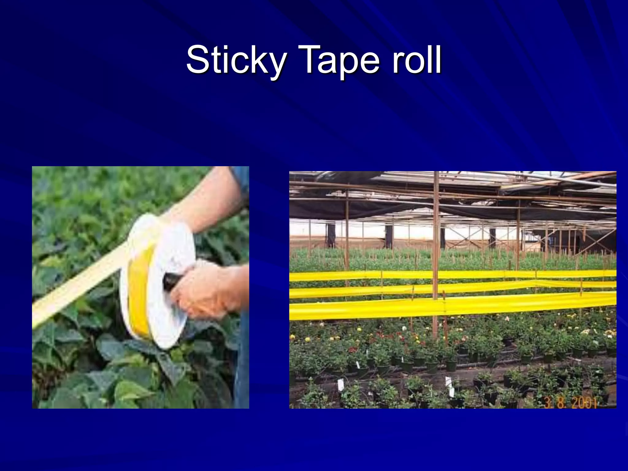 Sticky Tape roll
 