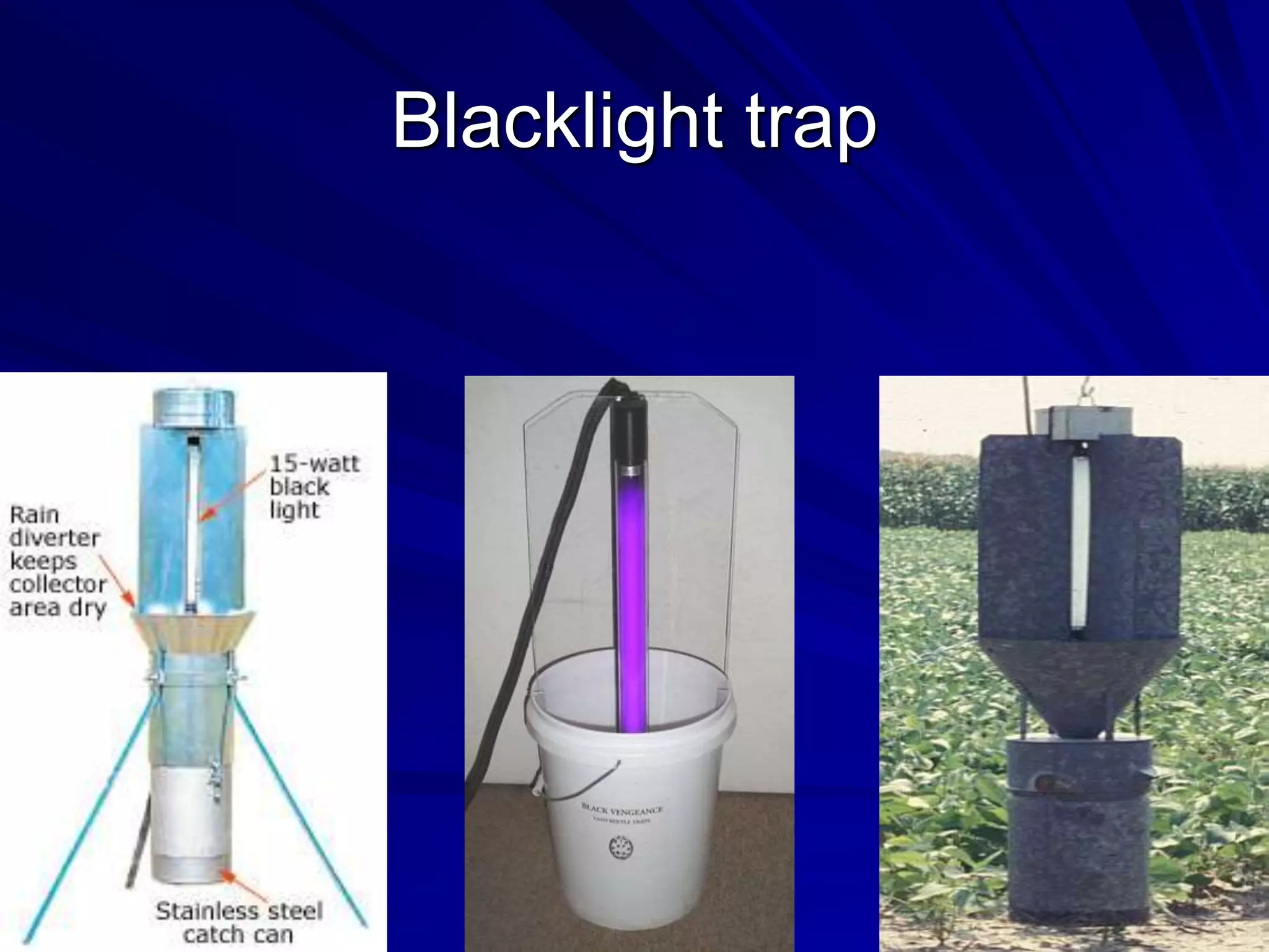 Blacklight trap
 