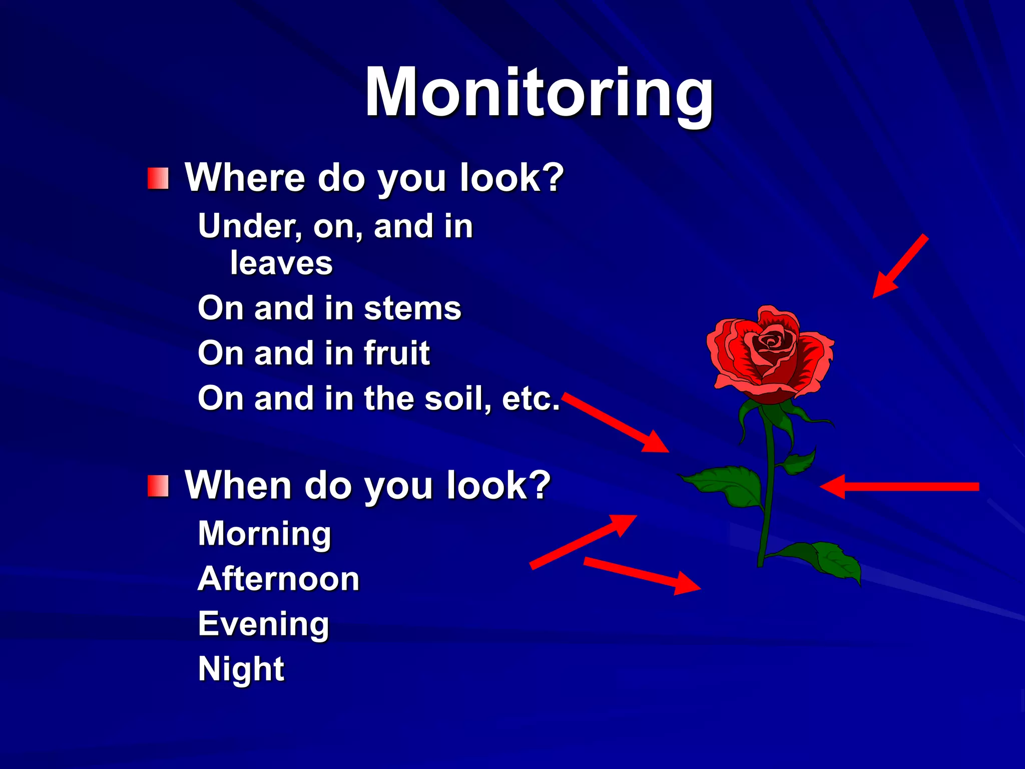 Monitoring
Where do you look?
Under, on, and in
leaves
On and in stems
On and in fruit
On and in the soil, etc.
When do you look?
Morning
Afternoon
Evening
Night
 