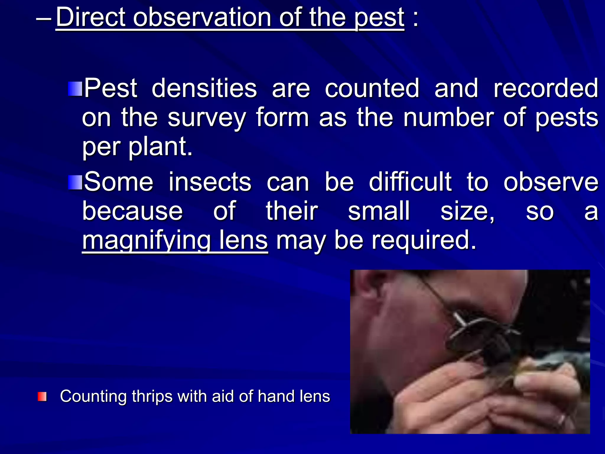 –Direct observation of the pest :
Pest densities are counted and recorded
on the survey form as the number of pests
per plant.
Some insects can be difficult to observe
because of their small size, so a
magnifying lens may be required.
Counting thrips with aid of hand lens
 