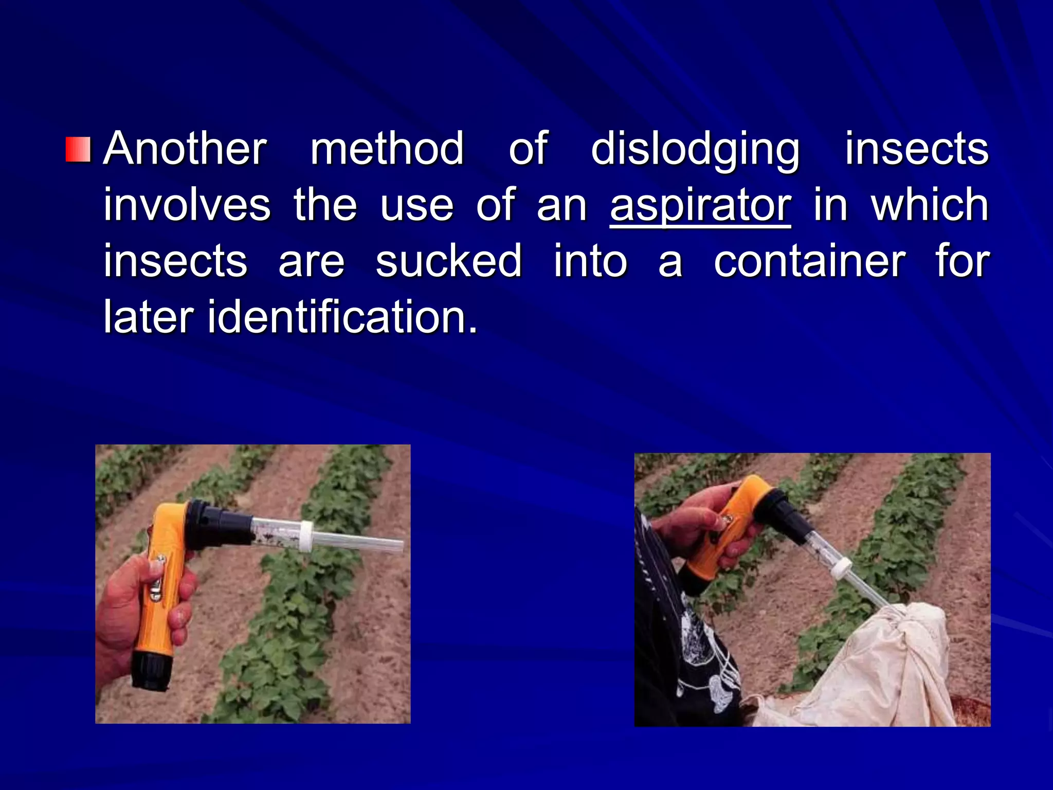 Another method of dislodging insects
involves the use of an aspirator in which
insects are sucked into a container for
later identification.
 