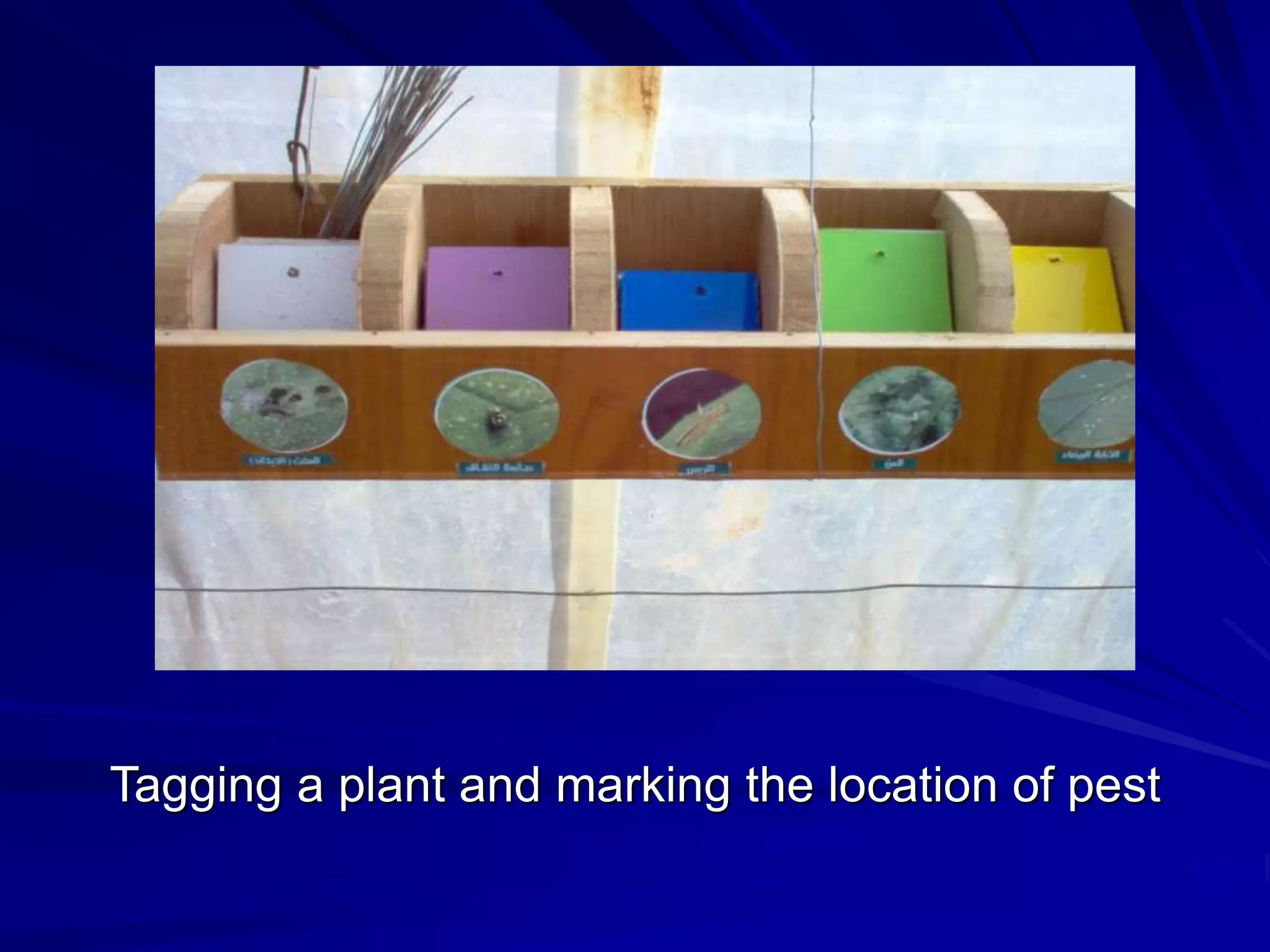 Tagging a plant and marking the location of pest
 