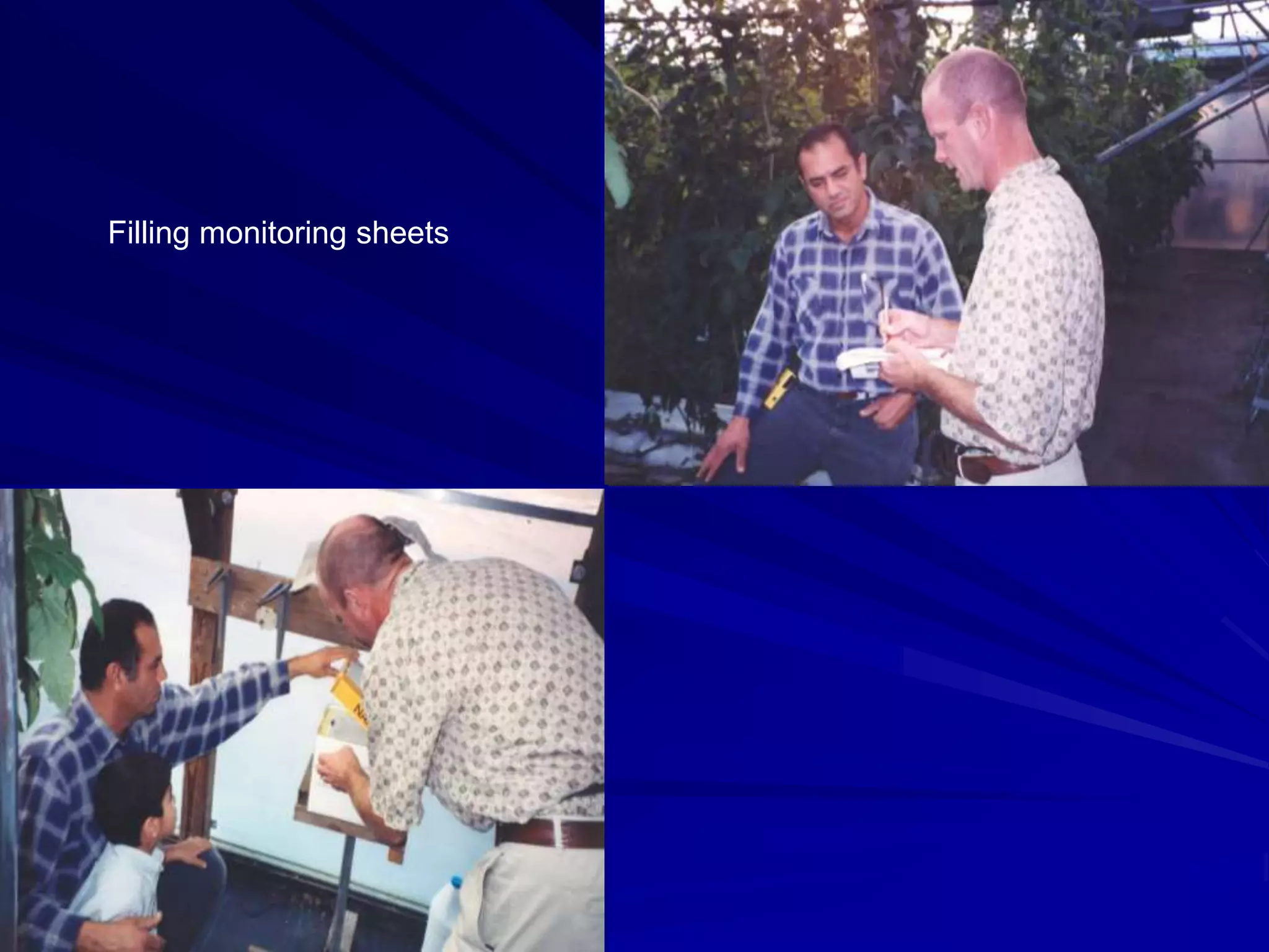 Filling monitoring sheets
 