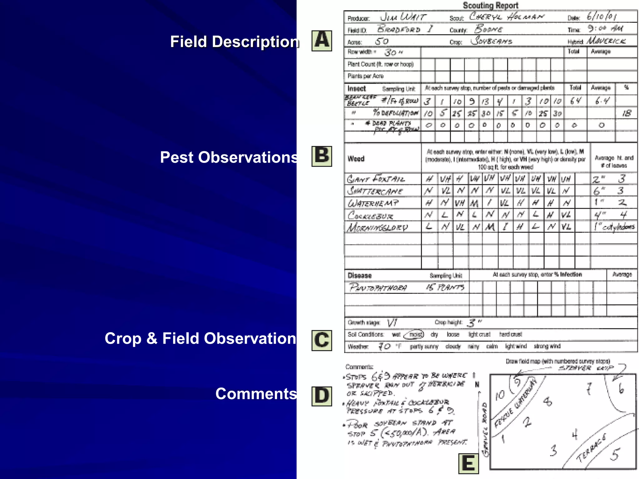 Field Description
Pest Observations
Crop & Field Observations
Comments
Field Map
 