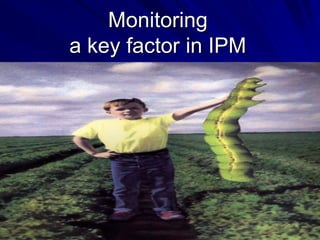 Monitoring
a key factor in IPM
 
