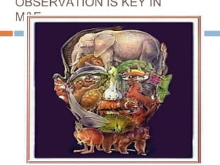 OBSERVATION IS KEY IN
M&E

 