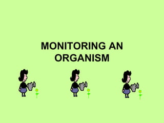 MONITORING AN ORGANISM 