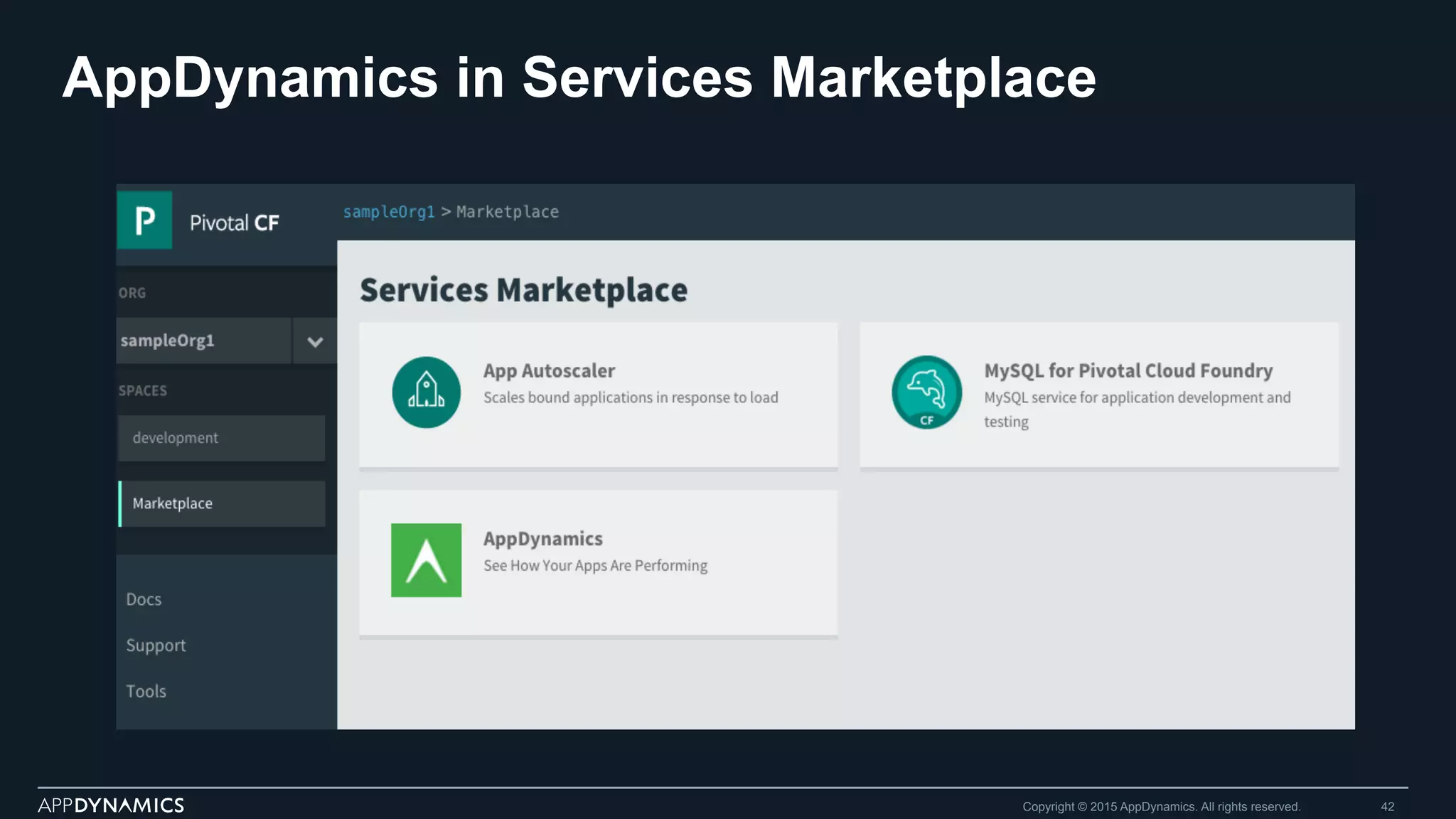 AppDynamics in Services Marketplace
Copyright © 2015 AppDynamics. All rights reserved. 42
 