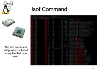 12
lsof Command
The lsof command
will print out a list of
every file that is in
use.
 