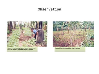 Monitoring and evaluation results of ciat pabra isfm v2 [autosaved]