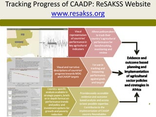 Tracking Progress of CAADP: ReSAKSS Website
              www.resakss.org
 
