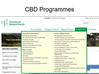 CBD Programmes 
 