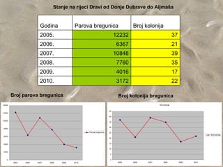 Stanje na rijeci Dravi od Donje Dubrave do Aljmaša


                           Godina                Parova bregunica                         Broj kolonija
                           2005.                                                 12232                                    37
                           2006.                                                 6367                                     21
                           2007.                                                 10848                                    39
                           2008.                                                 7760                                     35
                           2009.                                                 4016                                     17
                           2010.                                                 3172                                     22

        Broj parova bregunica                                                     Broj kolonija bregunica
14000                                                                                                     Broj kolonija


                                                                            45
12000
                                                                            40

10000
                                                                            35

                                                                            30
 8000

                                                         Parova bregunica   25
                                                                                                                                               Broj kolonija
 6000
                                                                            20


 4000                                                                       15

                                                                            10
 2000
                                                                            5


    0                                                                       0
         2005.   2006.   2007.   2008.   2009.   2010.                            2005.   2006.   2007.        2008.           2009.   2010.
 