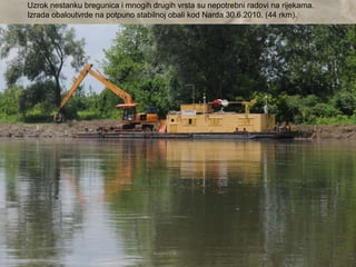 Uzrok nestanku bregunica i mnogih drugih vrsta su nepotrebni radovi na rijekama.
Izrada obaloutvrde na potpuno stabilnoj obali kod Narda 30.6.2010. (44 rkm).
 