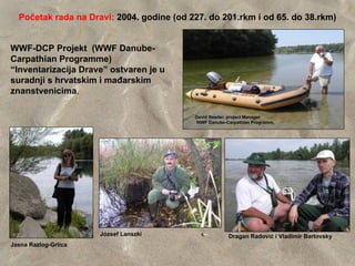 Početak rada na Dravi: 2004. godine (od 227. do 201.rkm i od 65. do 38.rkm)


WWF-DCP Projekt (WWF Danube-
Carpathian Programme)
“Inventarizacija Drave” ostvaren je u
suradnji s hrvatskim i mađarskim
znanstvenicima.

                                           David Reeder, project Manager
                                           WWF Danube-Carpathian Programm,




                      József Lanszki                    Dragan Radović i Vladimir Bartovsky
Jasna Razlog-Grlica
 