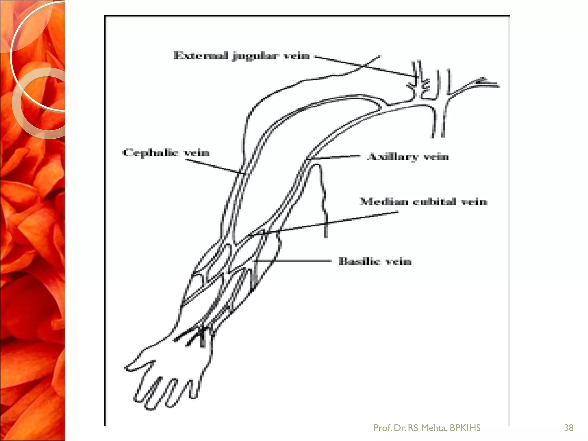 38Prof.Dr. RS Mehta, BPKIHS
 