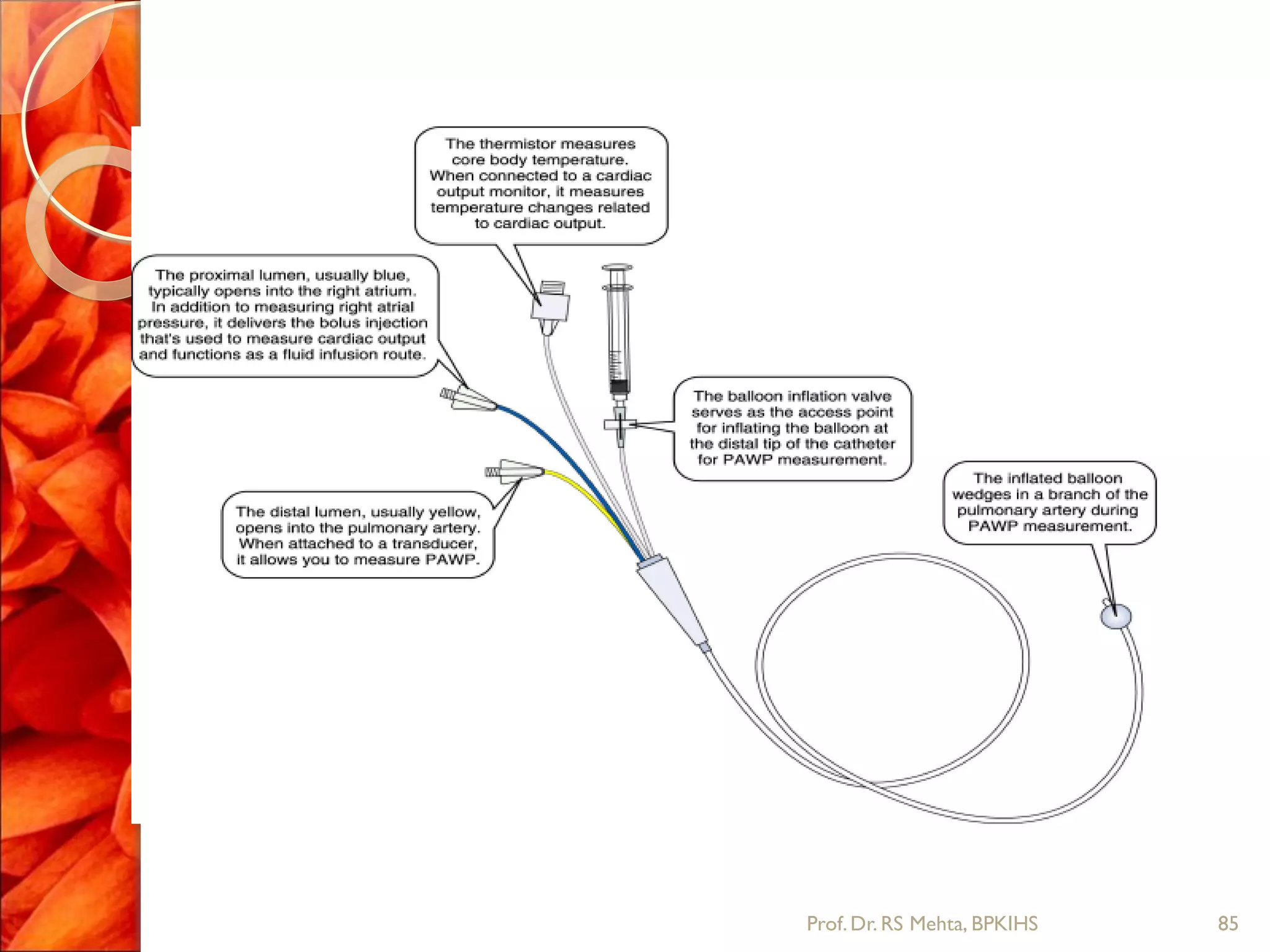85Prof.Dr. RS Mehta, BPKIHS
 