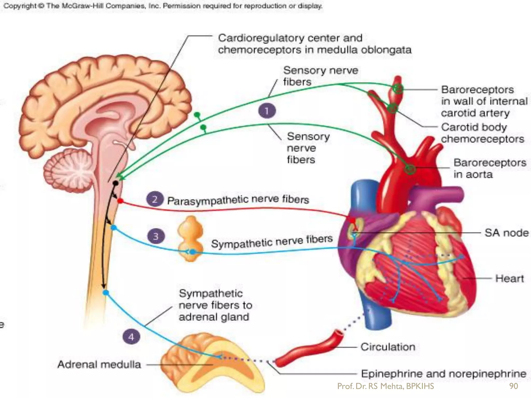 90Prof.Dr. RS Mehta, BPKIHS
 