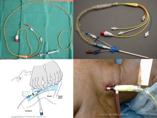 Prof.Dr. RS Mehta, BPKIHS
 
