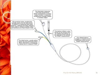 85Prof.Dr. RS Mehta, BPKIHS
 