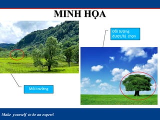 Make yourself to be an expert!
MINH HỌA
Môi trường
Đối tượng
được/bị chọn
 