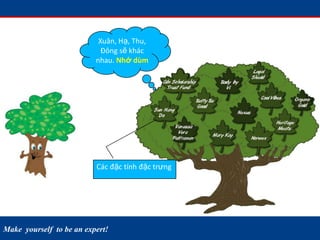 Make yourself to be an expert!
Các đặc tính đặc trưng
Xuân, Hạ, Thu,
Đông sẽ khác
nhau. Nhớ dùm
 