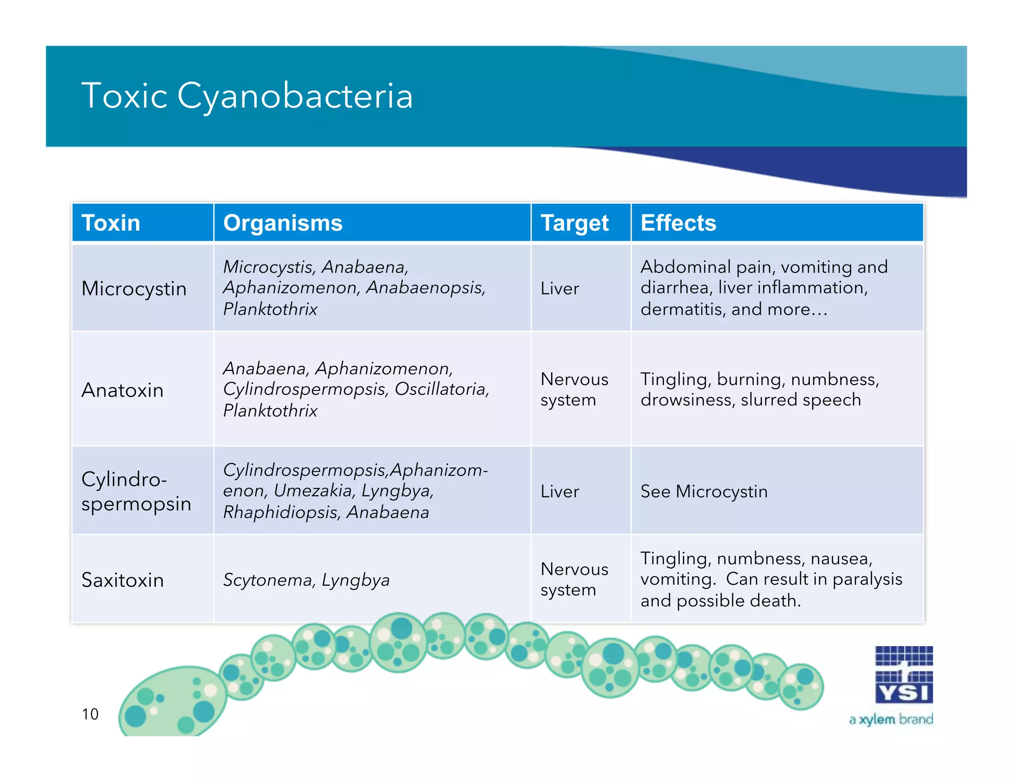 Toxic Cyanobacteria
10
Toxin Organisms Target Effects
Microcystin
Microcystis, Anabaena,
Aphanizomenon, Anabaenopsis,
Planktothrix
Liver
Abdominal pain, vomiting and
diarrhea, liver inﬂammation,
dermatitis, and more…
Anatoxin
Anabaena, Aphanizomenon,
Cylindrospermopsis, Oscillatoria,
Planktothrix
Nervous
system
Tingling, burning, numbness,
drowsiness, slurred speech
Cylindro-
spermopsin
Cylindrospermopsis,Aphanizom-
enon, Umezakia, Lyngbya,
Rhaphidiopsis, Anabaena
Liver See Microcystin
Saxitoxin Scytonema, Lyngbya
Nervous
system
Tingling, numbness, nausea,
vomiting. Can result in paralysis
and possible death.
 