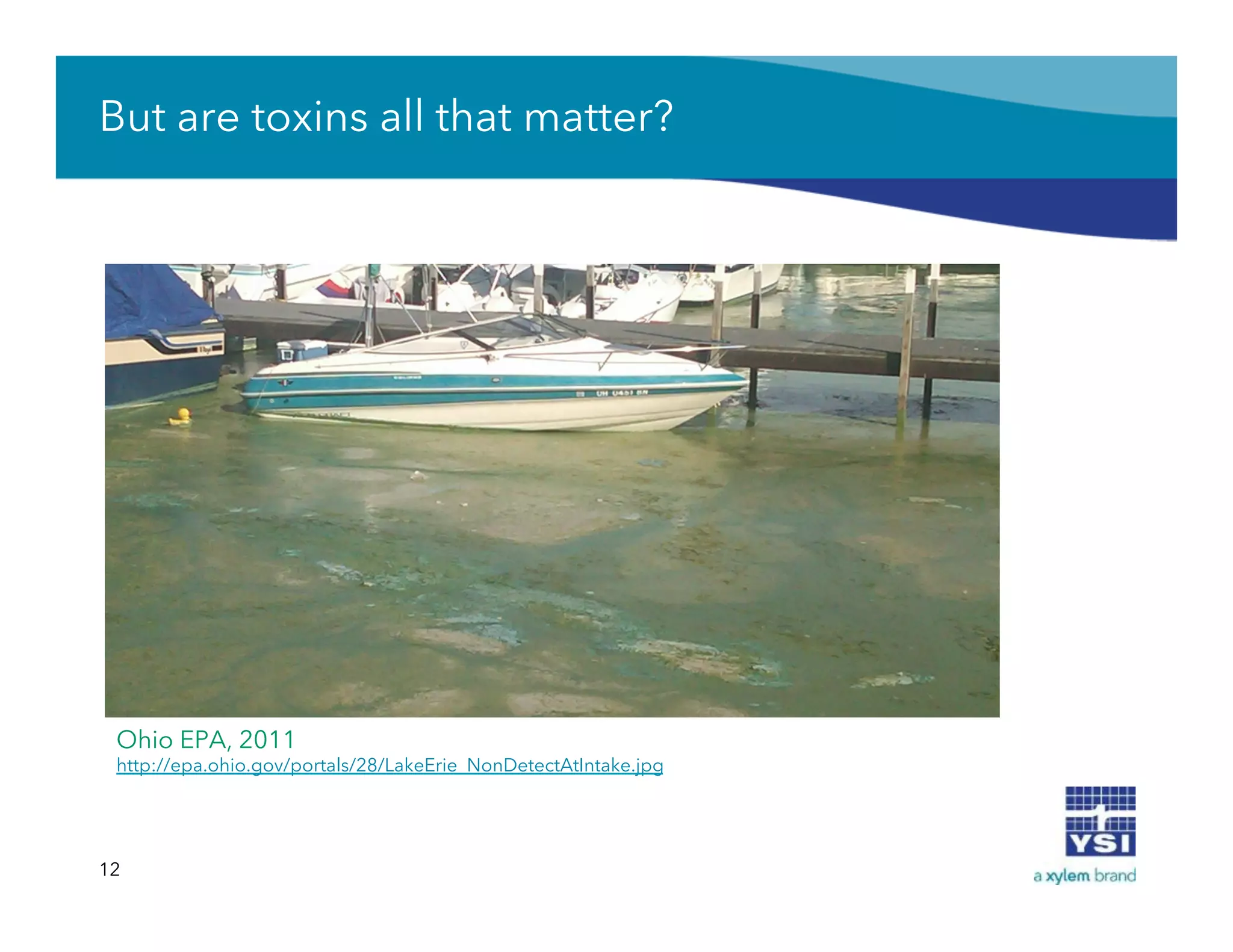 But are toxins all that matter?
12
Ohio EPA, 2011
http://epa.ohio.gov/portals/28/LakeErie_NonDetectAtIntake.jpg
 