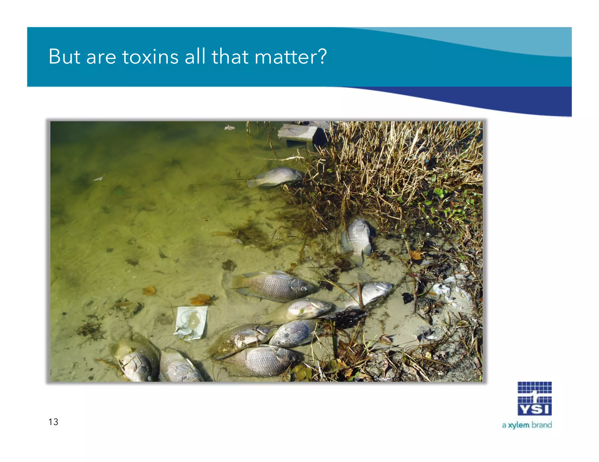 But are toxins all that matter?
13
 