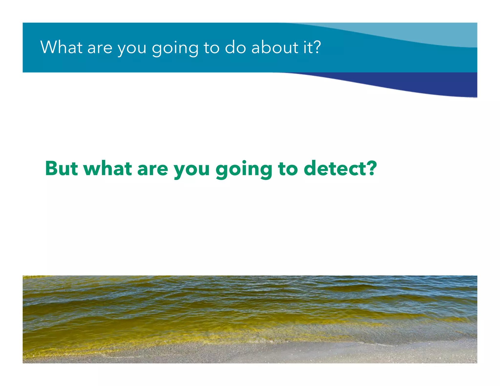 What are you going to do about it?
16
But what are you going to detect?
 